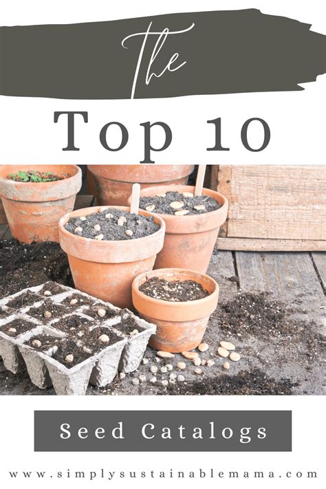 Free Top 10 Seed Catalogs