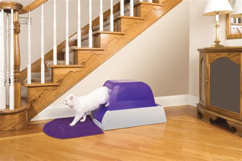 Freedom from Scooping: Unlocking the Benefits of Automatic Self-Cleaning Cat Litter Boxes