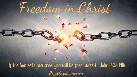 Freedom in Christ Bible The Kindle Editon