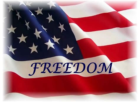 Freedom the American Way PDF