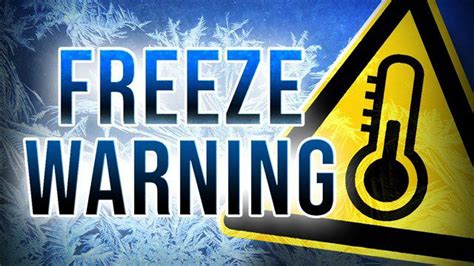 Freeze Warning in Effect: