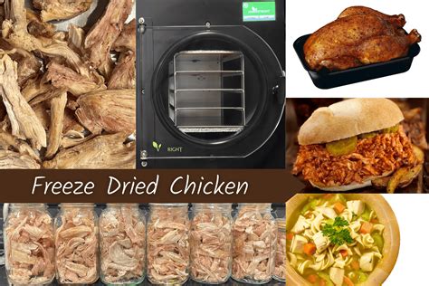 Freeze-Dried Chicken: Ethical Choices in 2025