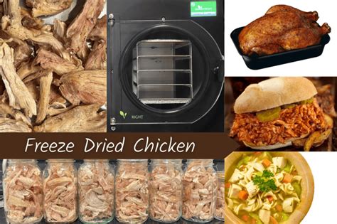 Freeze-Dried Chicken VS Disaster Relief: 2025 Outlook