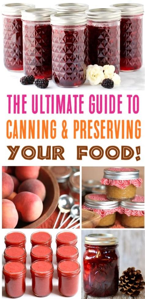 Freezing.com: Your Ultimate Guide to Preserving Your Culinary Delights