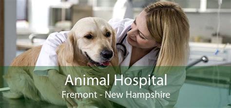 Fremont Animal Hospital, Fremont, NH: 10,000+ Animal Care Services, 100% Compassion