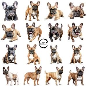 French Bulldog Shirts: The Ultimate Symbol of Canine Chic