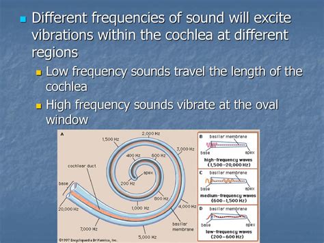 Frequency of Travel: