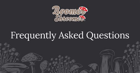 Frequently Asked Questions (FAQs) about Boomer Bin