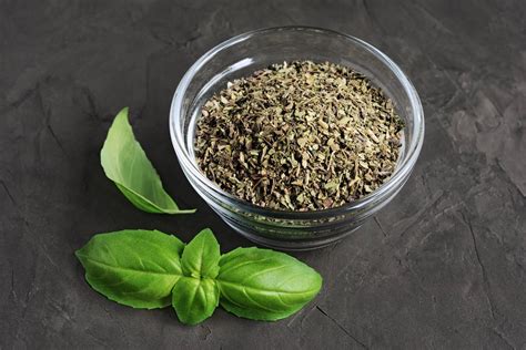 Fresh Basil to Dried: A Culinary Journey of Preservation and Flavor