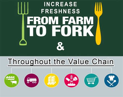 Freshness Guaranteed: From Farm to Fork