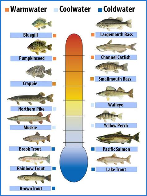 Freshwater Fish Temperature Chart