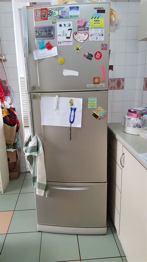 Fridge Repair Singapore: 5 Quick Fixes & Common Problems