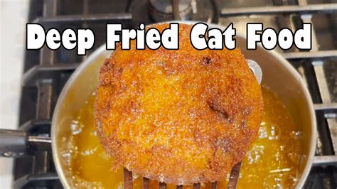 Friedcat: 15 Creative Ways to Fry Your Cat