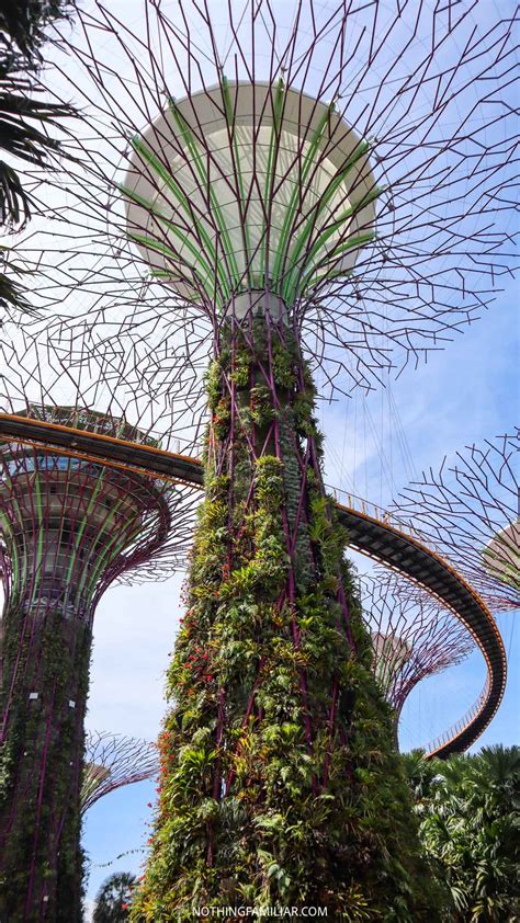 Friends of Gardens by the Bay: 20 Superlative Supporters