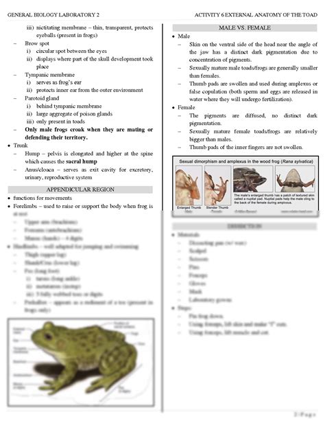 Frog Anatomy Lab 60 Answers PDF