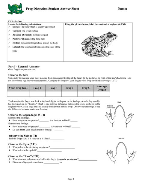 Frog Dissection Answer Key Amphibians PDF