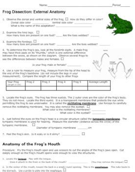 Frog Dissection Answer Key Biology Junction PDF