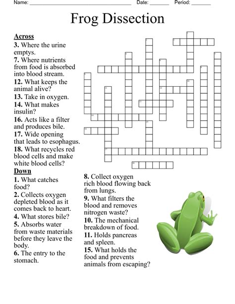 Frog Dissection Crossword Answers Doc