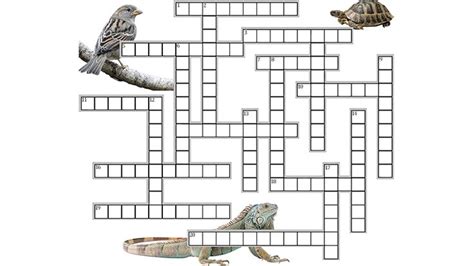 Frog Dissection Crossword Puzzle Answers Biology Corner Kindle Editon