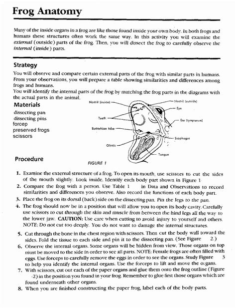 Frog Dissection Lab Worksheet Answers Epub