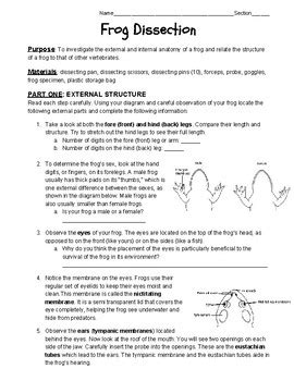 Frog Dissection Middle School Answers Reader