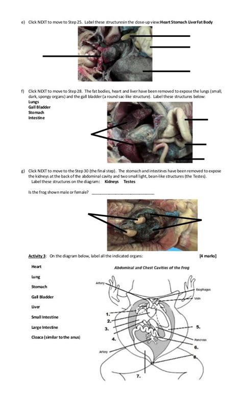 Frog Dissection Pre Lab Answers Doc