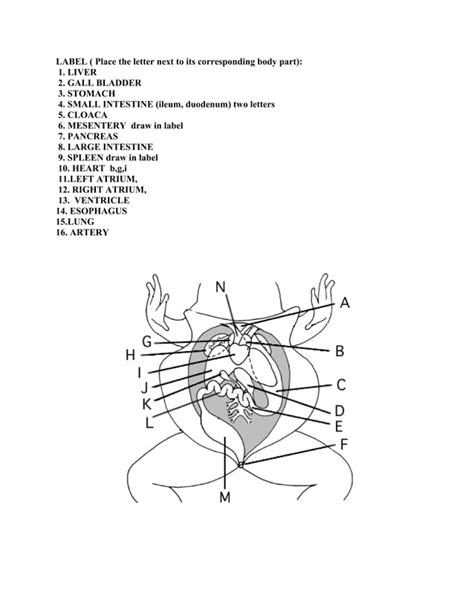 Frog Dissection Question Answer Key Kindle Editon