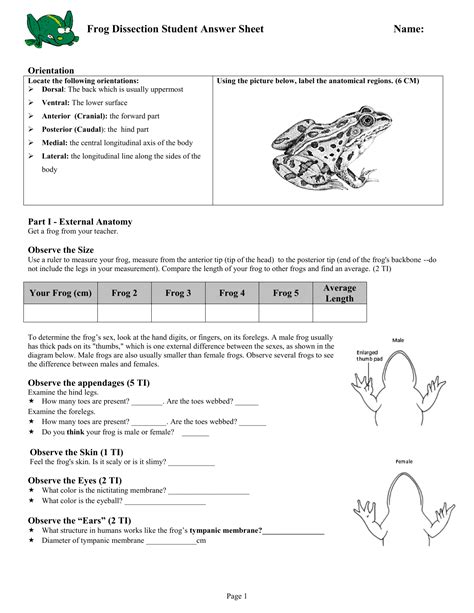 Frog External Anatomy Answer Sheet Epub