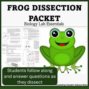 Frog External Anatomy Packet Answer Key PDF