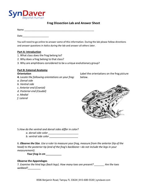 Frog Packet Answers Doc
