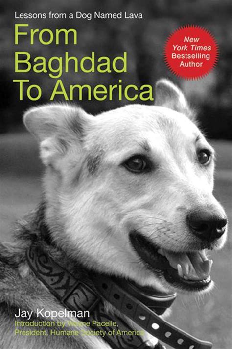 From Baghdad to America Life after War for a Marine and His Rescued Dog PDF