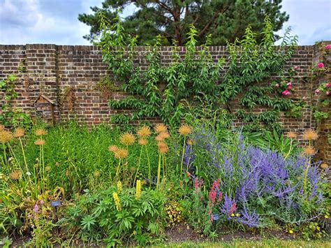 From Behind the Walled Garden Doc