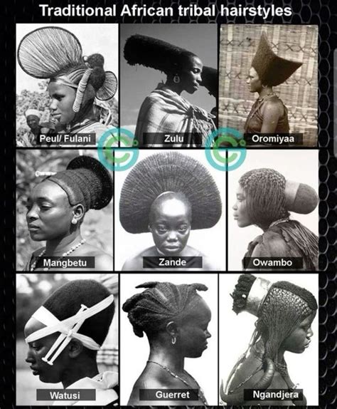 From Classic Cuts to Modern Trends: Explore the Rich History of Black Hairstyles