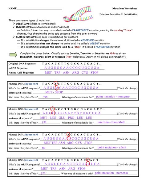 From Gene To Polypeptide Worksheet Answers Epub