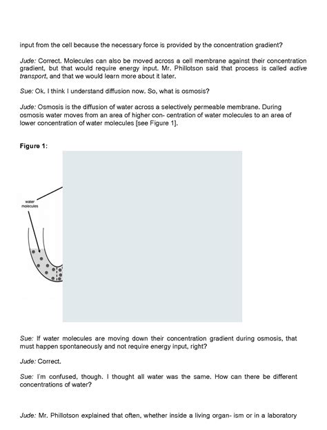 From Gummy Bears To Celery Stalks Page 5 Osmosis In Animal Cells Answer Key PDF PDF