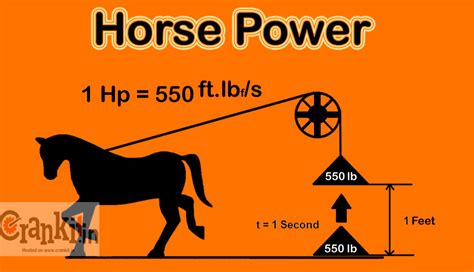 From Horse to Horsepower Reader
