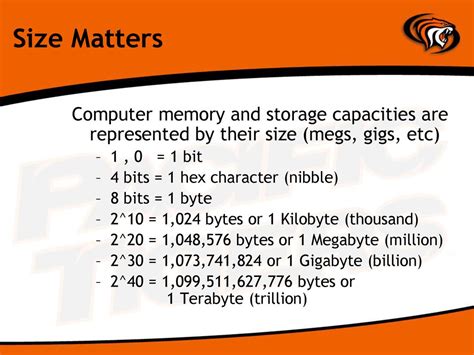 From Megs to Gigs: The Future of Data Storage