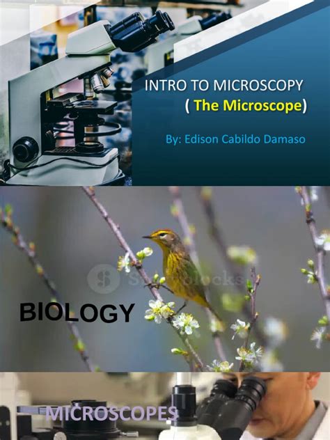 From Metre to Micrometre: The Microscopic World and Its Endless Applications