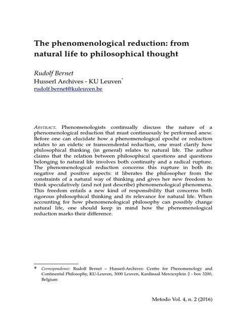 From Phenomenology to Thought Kindle Editon