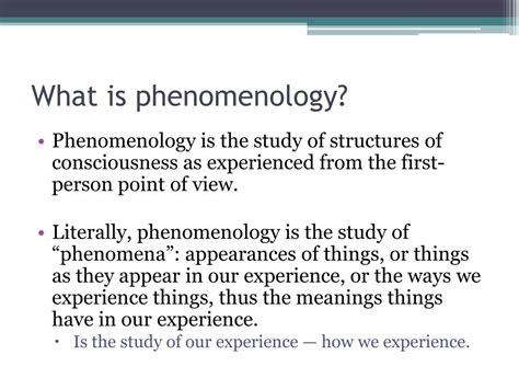 From Phenomenology to Thought Kindle Editon