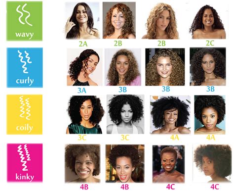 From Ringlets to Coils: Exploring the Wide World of 2C-4C Curly Hair