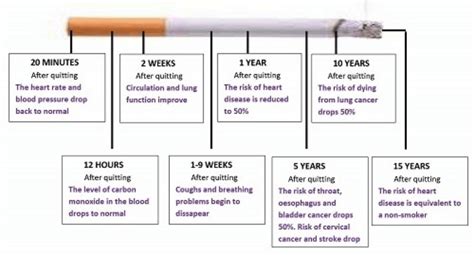 From Vice to Victory: Your Quitting Nicotine Timeline