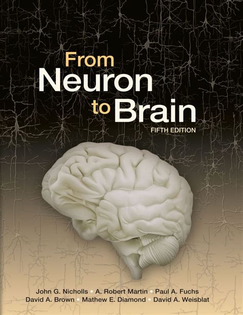 From.Neuron.to.Brain Ebook Kindle Editon