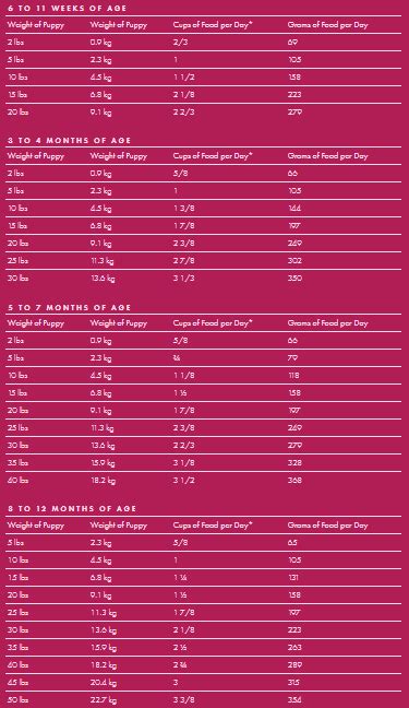 Fromm Puppy Food Feeding Chart