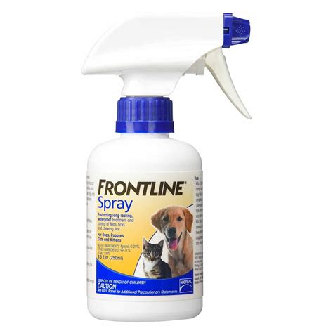 Frontline Dog Flea Treatment: The Ultimate Guide to Year-Round Flea Protection