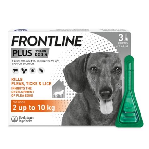 Frontline Flea Medicine: The Ultimate Guide to Protect Your Dog