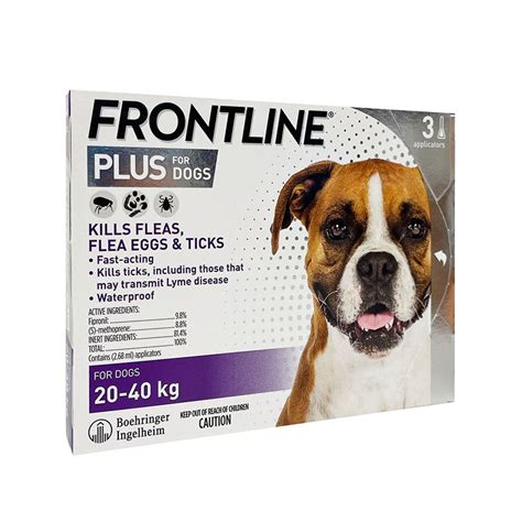 Frontline Plus 狗：保護愛寵免受跳蚤和壁蝨侵害的必備武器