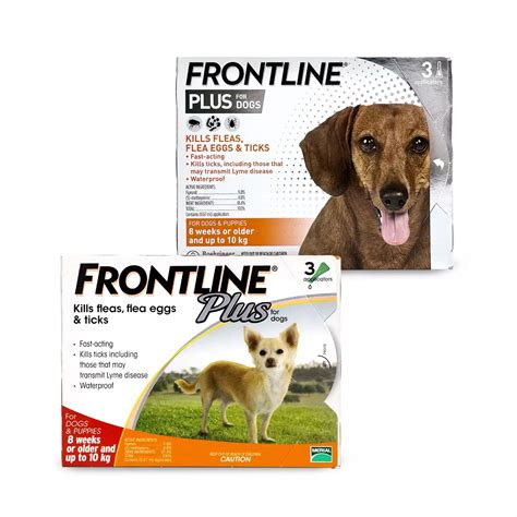 Frontline Plus 狗：保護狗狗免受跳蚤、蜱蟲和蚊子的全面防護