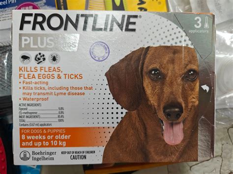 Frontline Plus 狗：全面保護您的毛孩健康