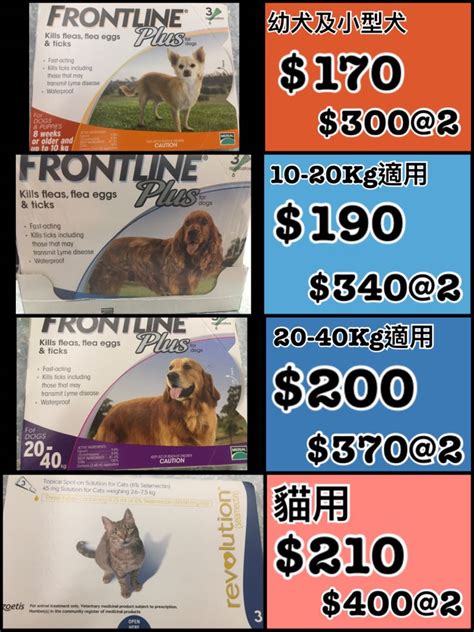 Frontline Plus 用法：保護寵物遠離跳蚤和壁蝨